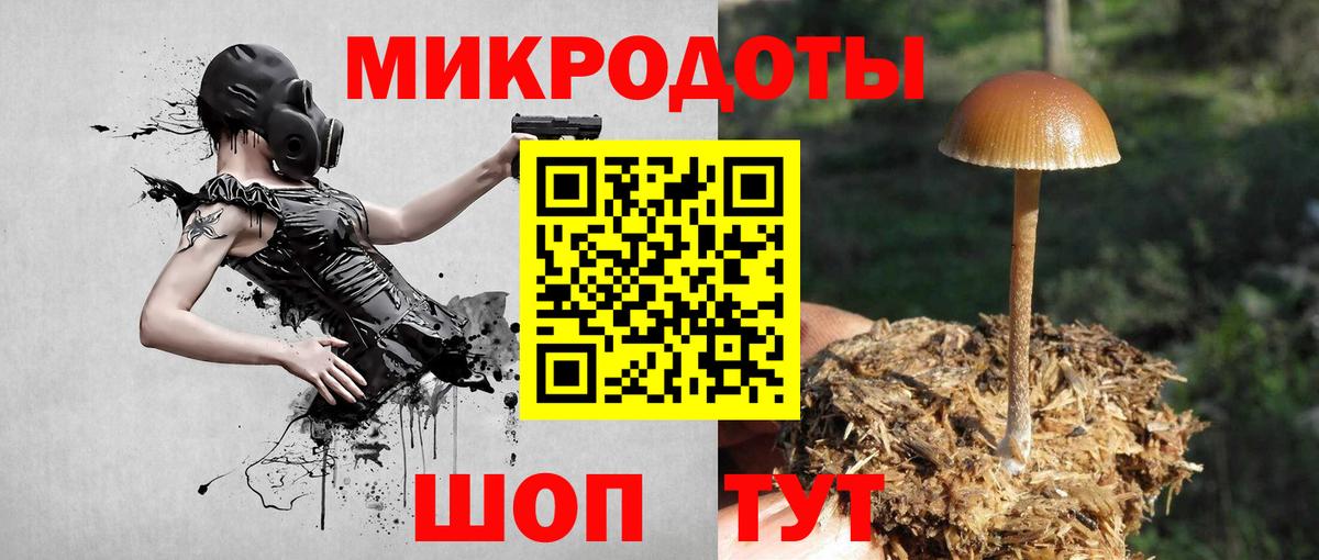 Галлюциногенные грибы MAGIC MUSHROOMS Биробиджан